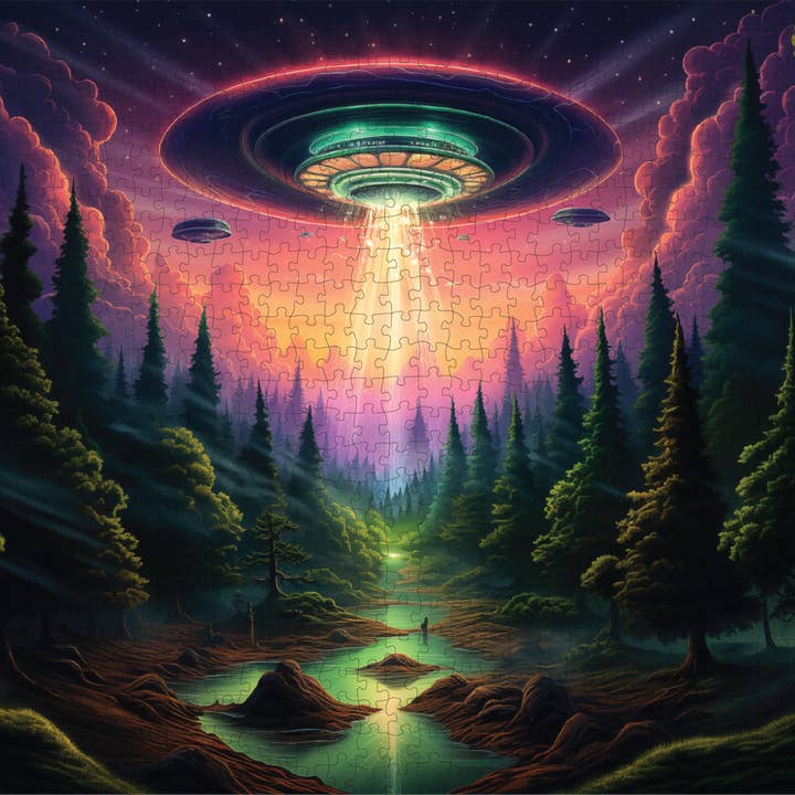 Trippy Puzzle Co - Wholesale Puzzle - Adult - Earthly Encounter Classic Jigsaw Puzzle 1000PC