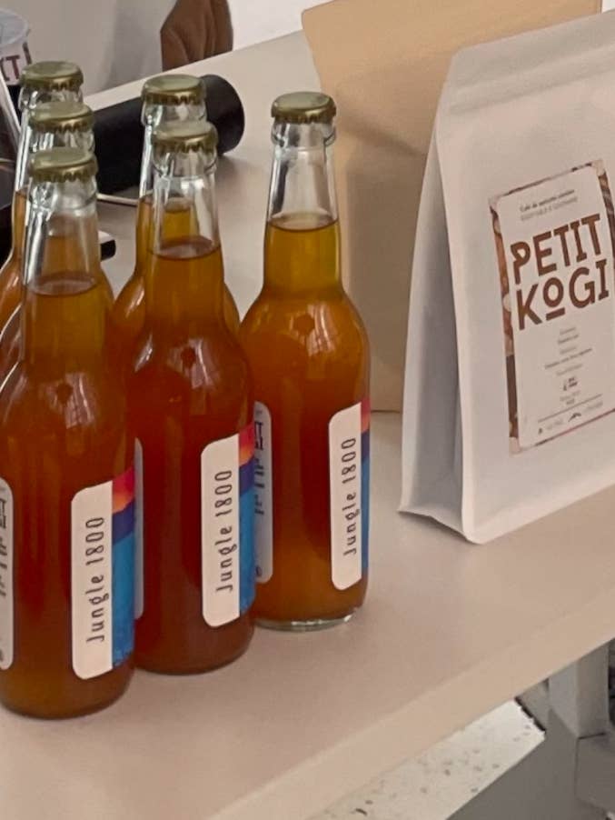 Fermented Cold Brew – Jungle 1800 - Little Kogi for wholesale by PETIT KOGI