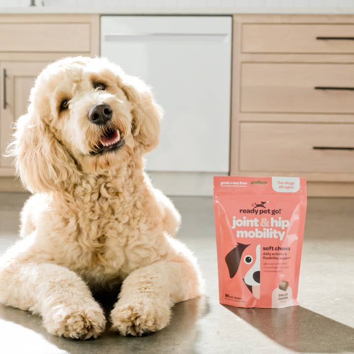 Ready Pet Go - Wholesale Pet treats – Dog - Natural Joint & Hip Mobility Dog Chews - Vitality Support4