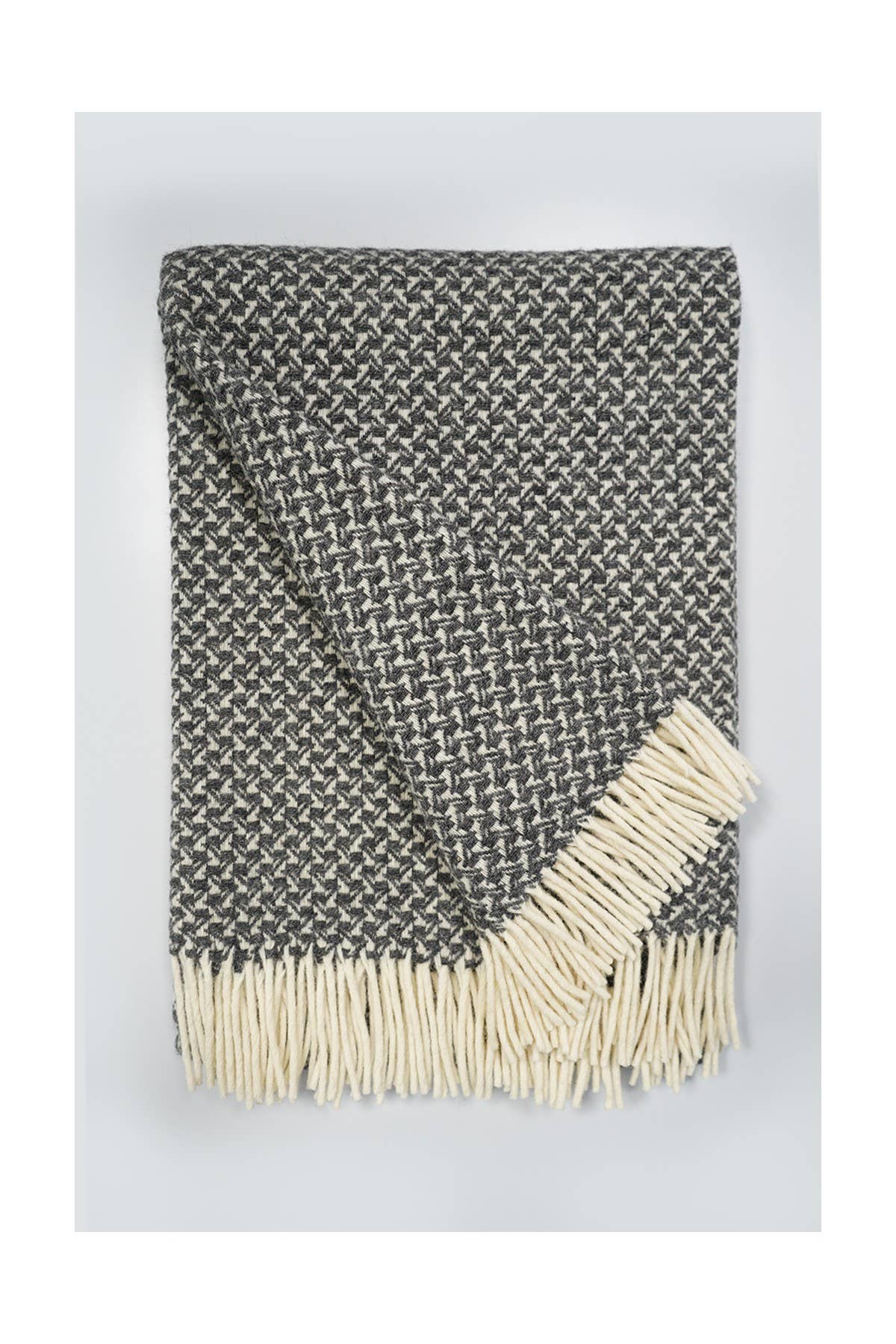 Chicoração - Vendita all'ingrosso Plaid - Coperta Rondine - più colori50