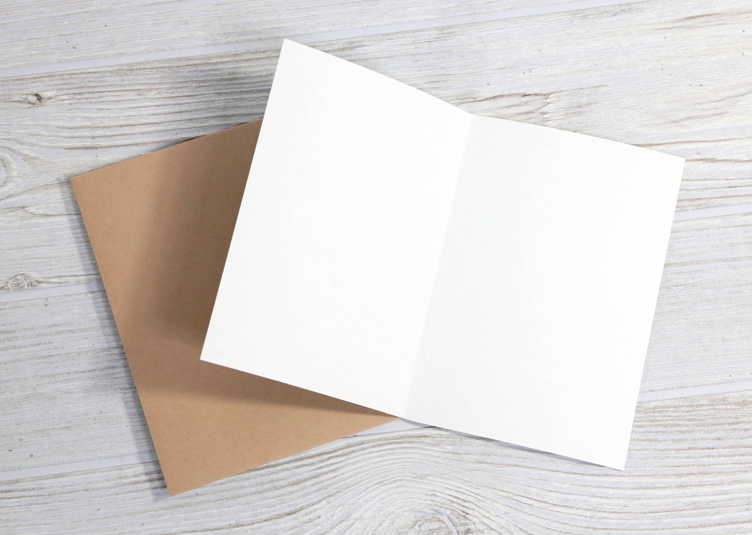 Bad Betty Greeting Co. - Wholesale Easter Card - I'm Back Bitches - Irreverent Easter Card2