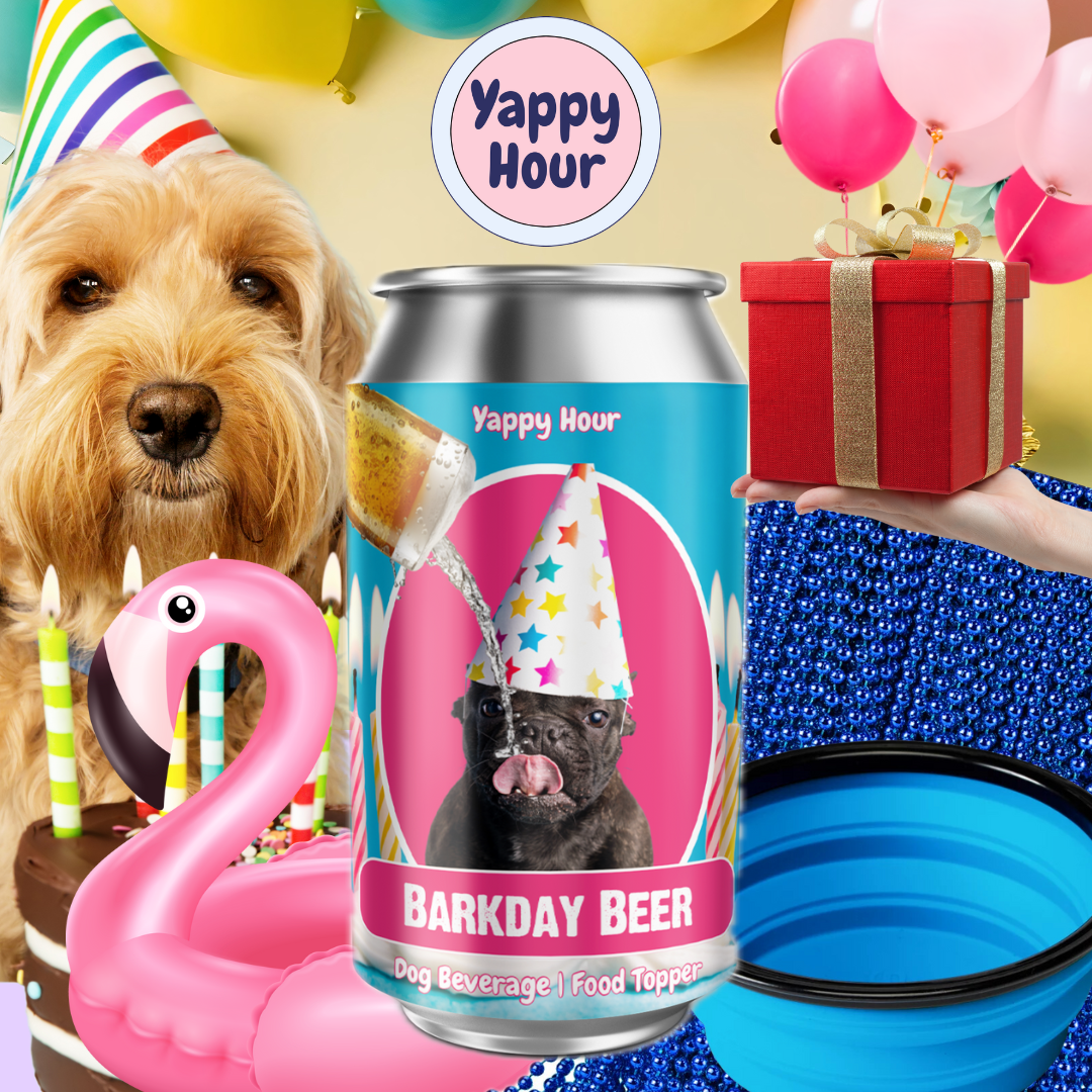 Yappy Hour - Wholesale Pet Treats - Dog - Barkday Beer | 24ct | Watermelon4