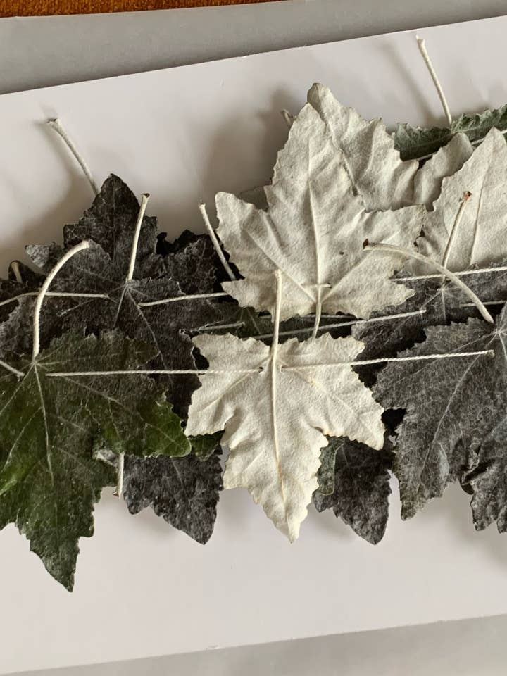 Dried Silver Leaf Poplar Garland - Neutral Color for wholesale by Twig and Snip