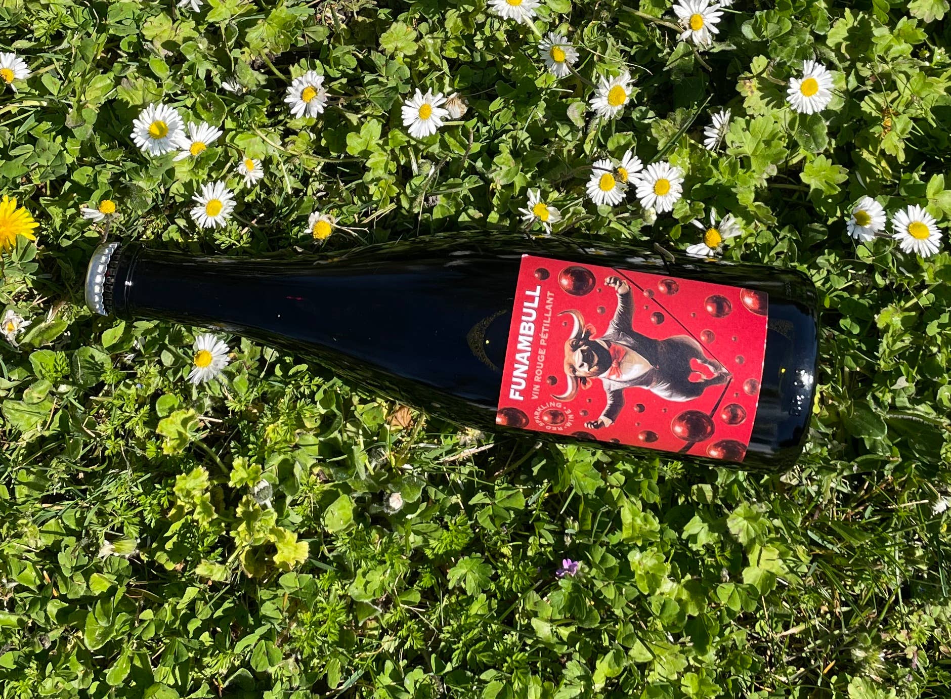 Domaines Fabre - Wholesale Champagne/Sparkling Wine - FUNAMBULL Sparkling red wine