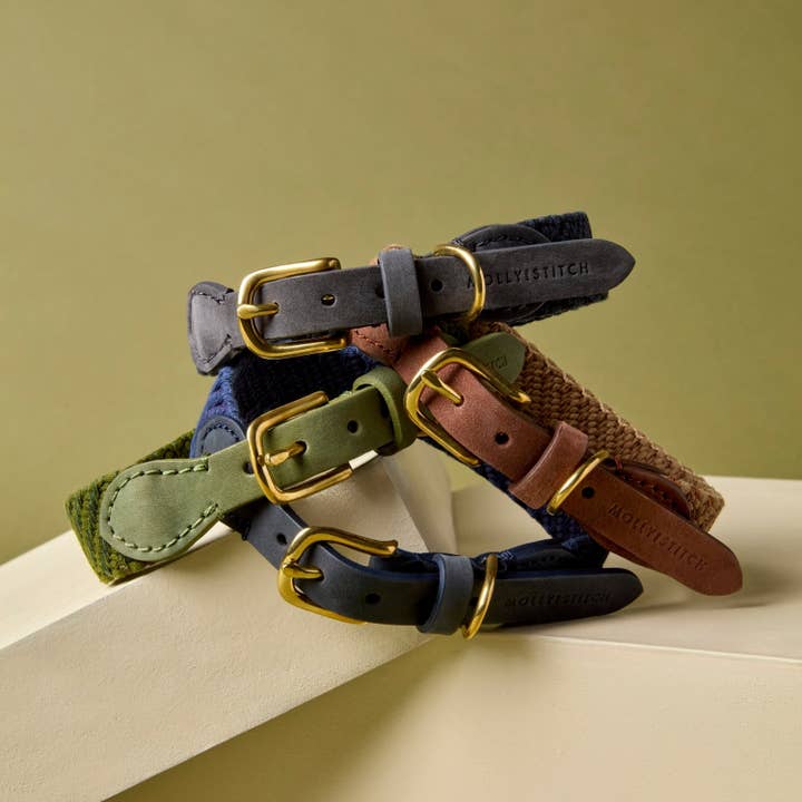Molly and Stitch - Wholesale Pet Collar - Dog - Patagonia Dog Collar - Moss5