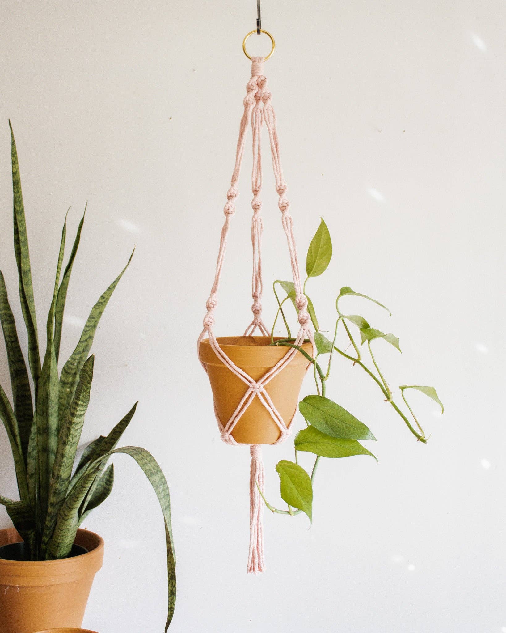 Modern Bo Studio – Vasos suspensos por atacado – Suporte para Planta em Macramê Simples com Torção8