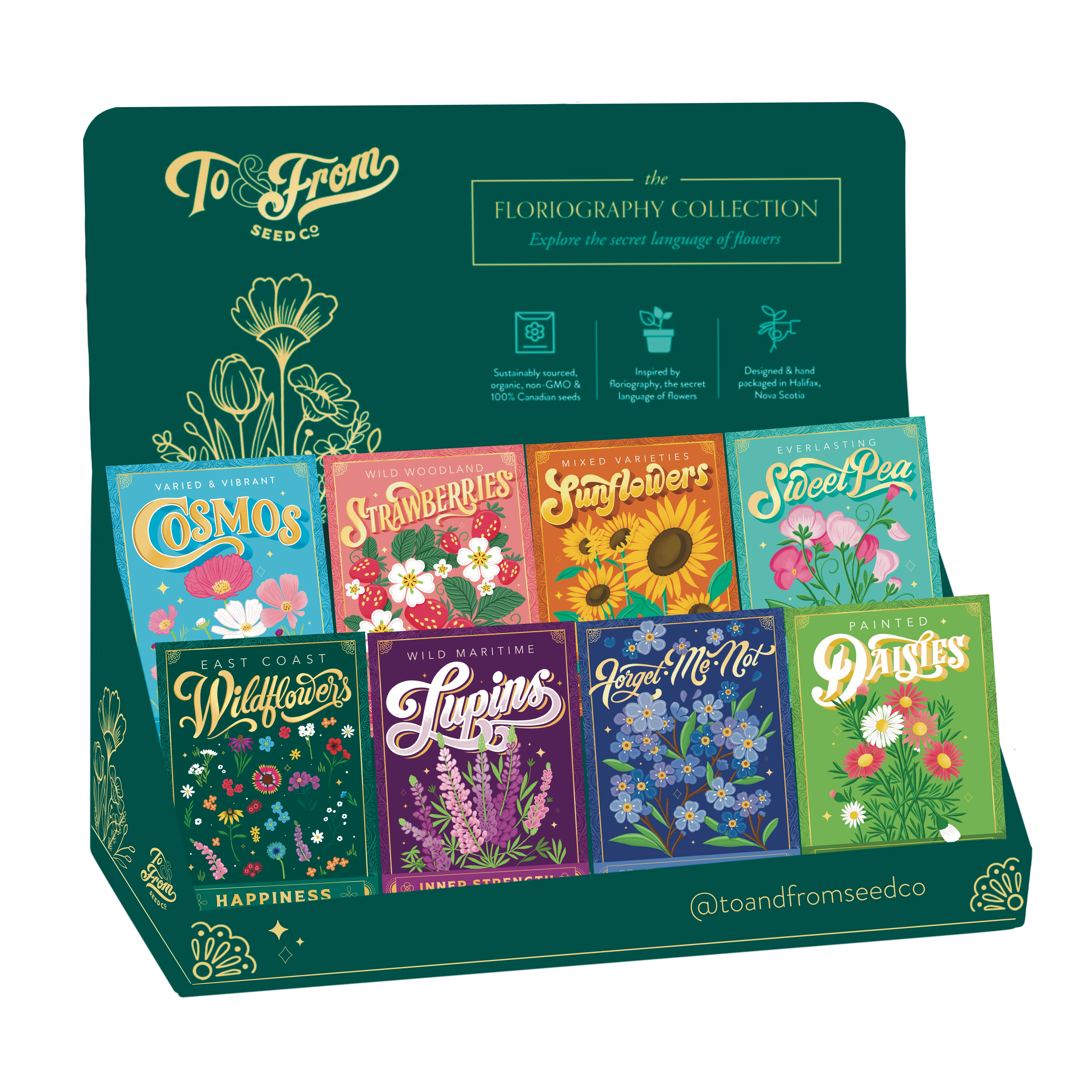 Samen Maier Organic Seed Box For kids, 1 Set - Bloomling International