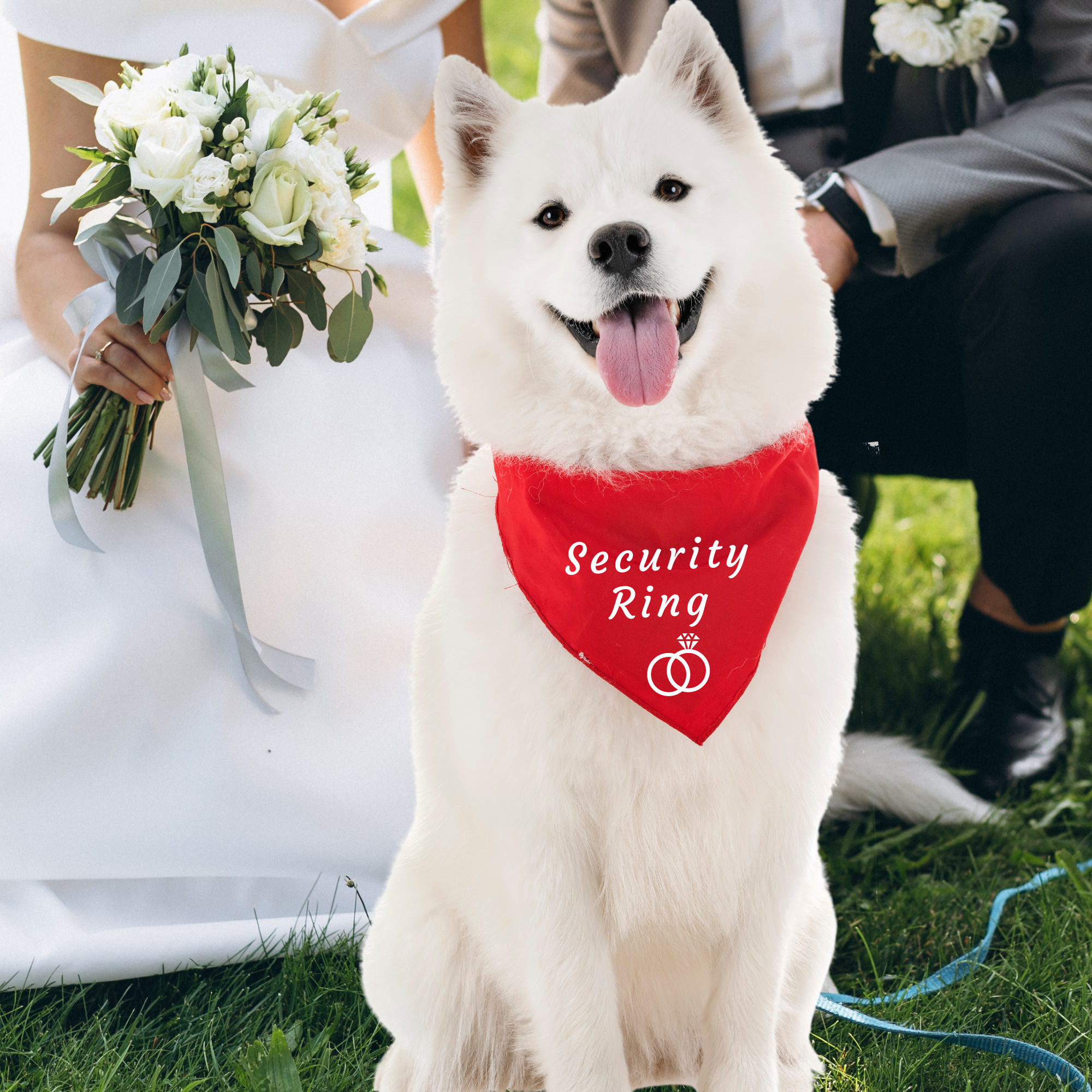 Anita's Accesorios - Wholesale Pet Bandana - Dog - Custom business logo dog bandana over the collar,personalize7