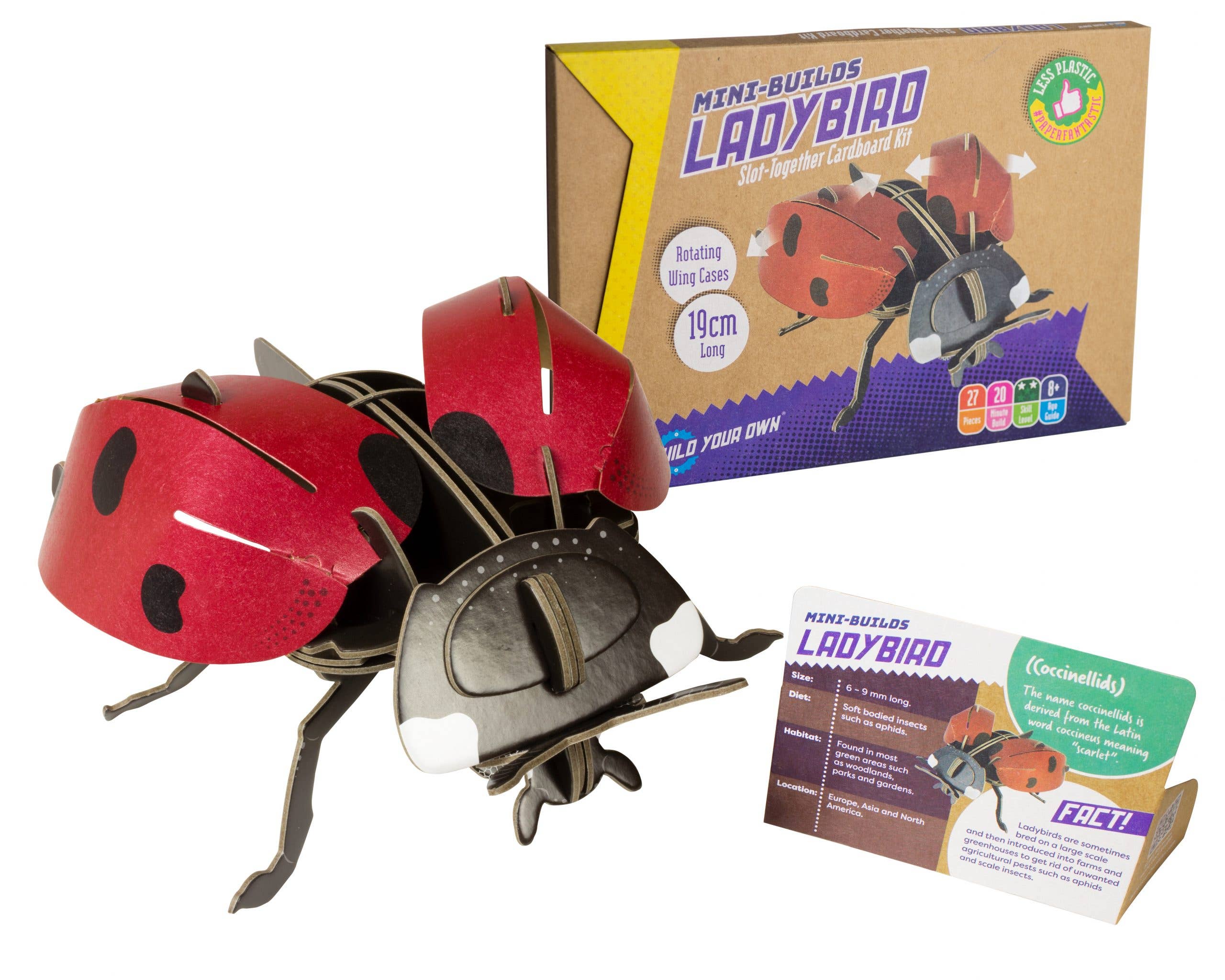 Build Your Own - Wholesale DIY Craft Kit - Kids - Build Your Own Ladybird - Eco-Friendly Cardboard Craft Kit1