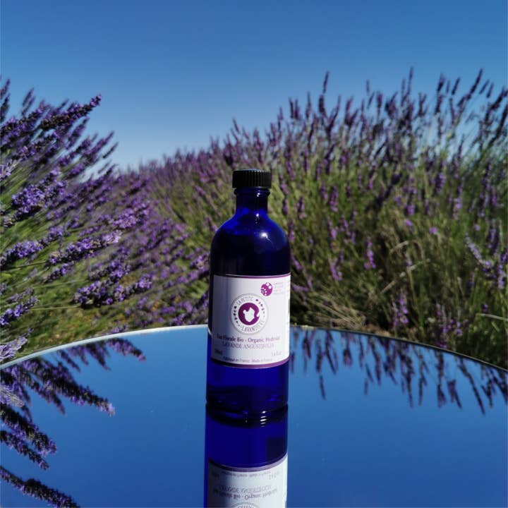 Nicolosi Créations - Wholesale Fragrance Oil - Angustifolia Lavender Organic Floral Water “La Petite Lavandière”