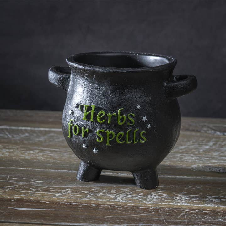 Pacific Trading - Wholesale Plant Pot - Herbs for Spells Cauldron Planter5