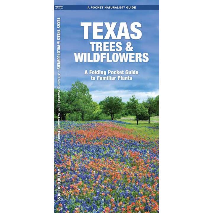 Texas Trees & Wildflowers by James Kavanagh for wholesale by Simon & Schuster