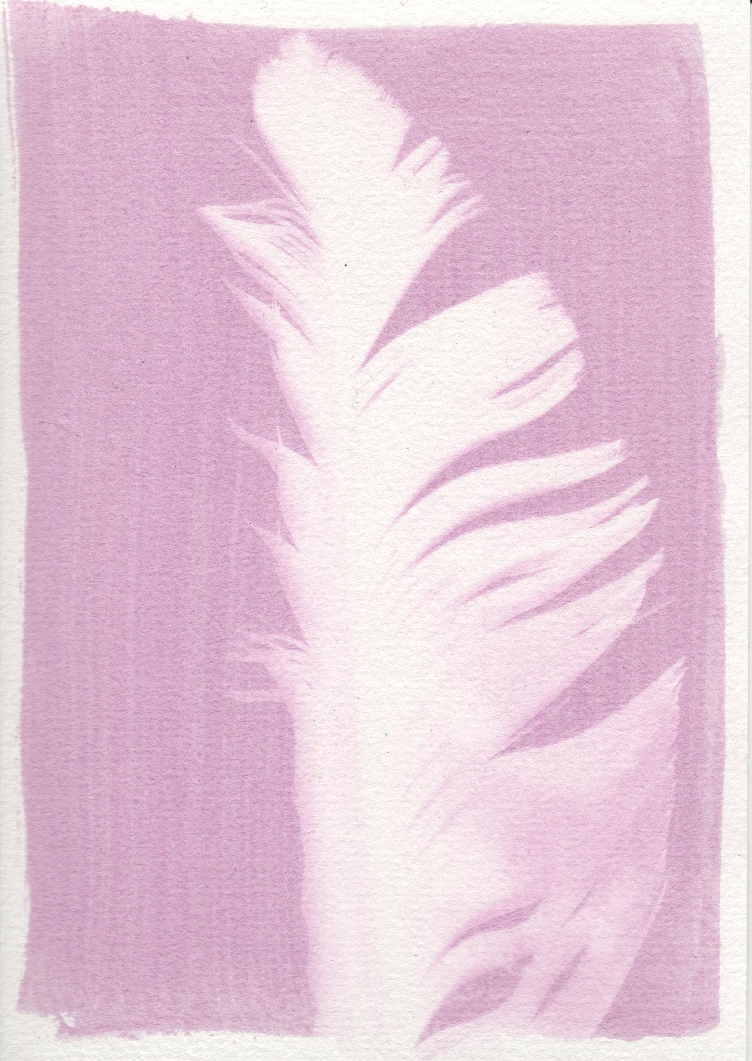 L'Atelier des Epatants - Venta al por mayor Kit de manualidades - Kit mini rosatype: como el cianotipo pero en rosa6