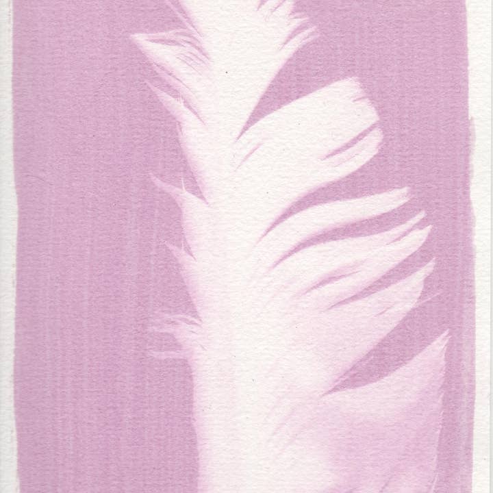 L'Atelier des Epatants - Wholesale Doe-het-zelf-knutselset - Mini-kit rosatype: zoals cyanotype maar in roze!6