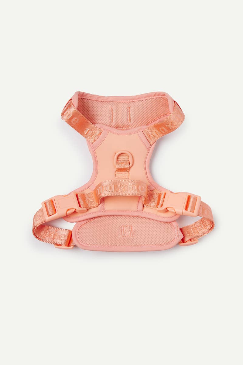 maxbone - Wholesale Pet Harness - Dog - Easy Fit Dog Harness17