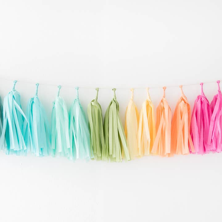 The Flair Exchange - Wholesale Bunting/Garland - Rainbow Tassel Garland Kit