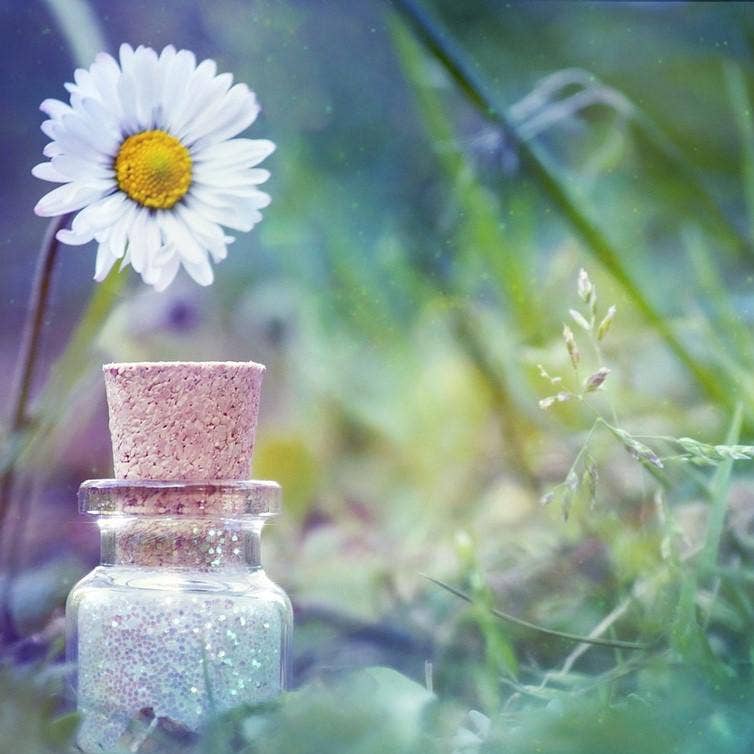 Zia Zensations Inc. - Wholesale Fragrance Oil - Resort Series Premium Fragrance Oils11