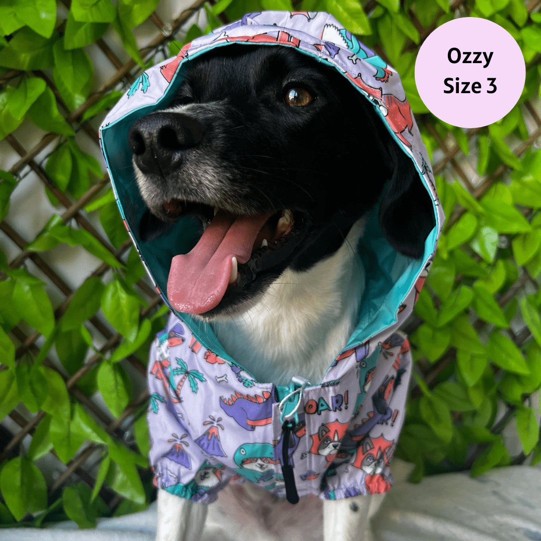Zelda & Harley – wholesale Pet raincoat – Dog – Doggosaurus Rex Reversible Raincoat3