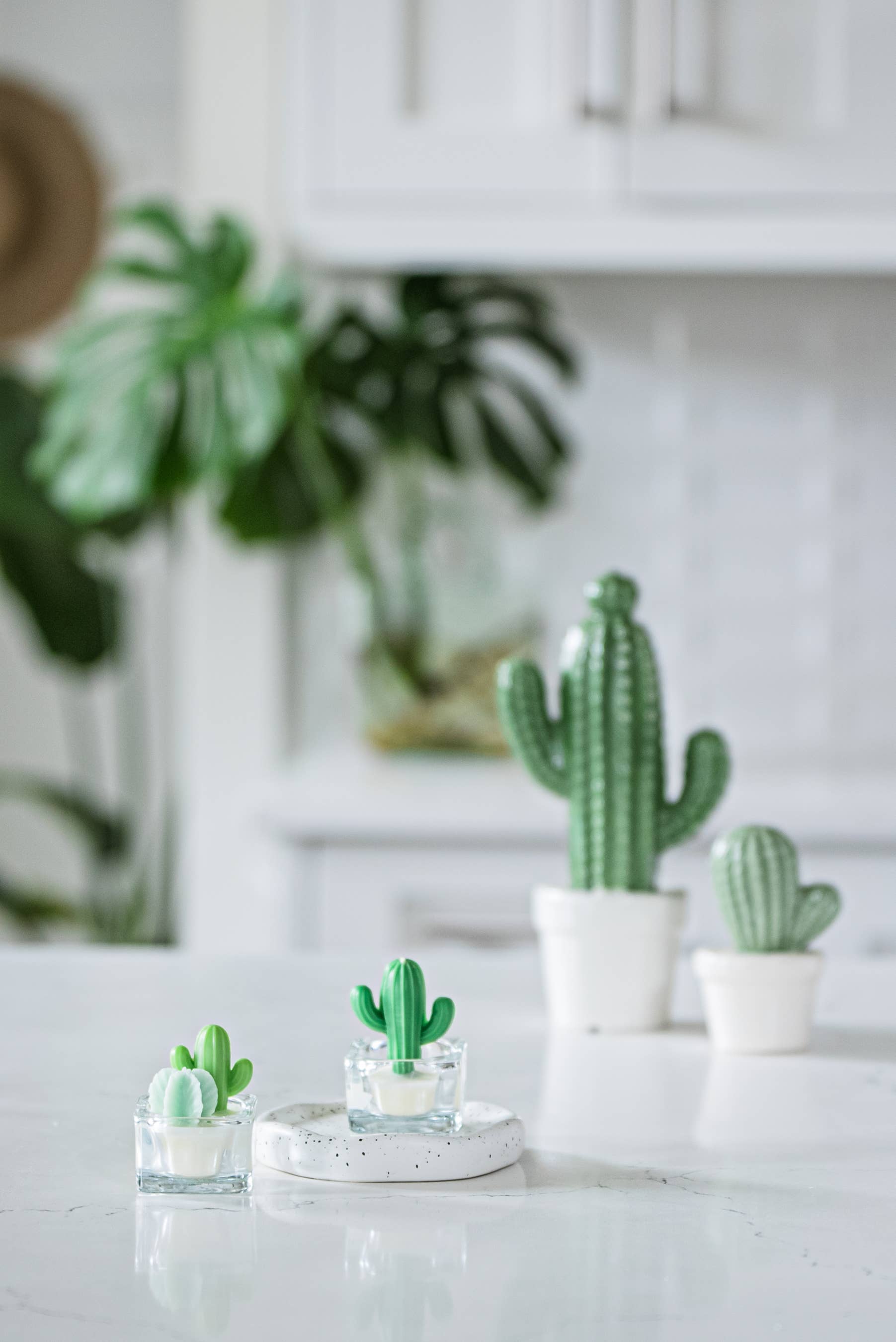 ZOETSTUDIO - Wholesale Novelty Candle - Cactus & Succulent Tealight Candles | Soy Wax Blend6