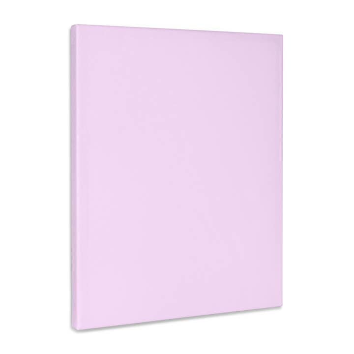 3dRose, Lyserød - pastel shabby chic piget piget lys babylyserød - feminin ensfarvet enkel solid farve, Museumskvalitet Lærredsomslag for engroshandel hos 3dRose