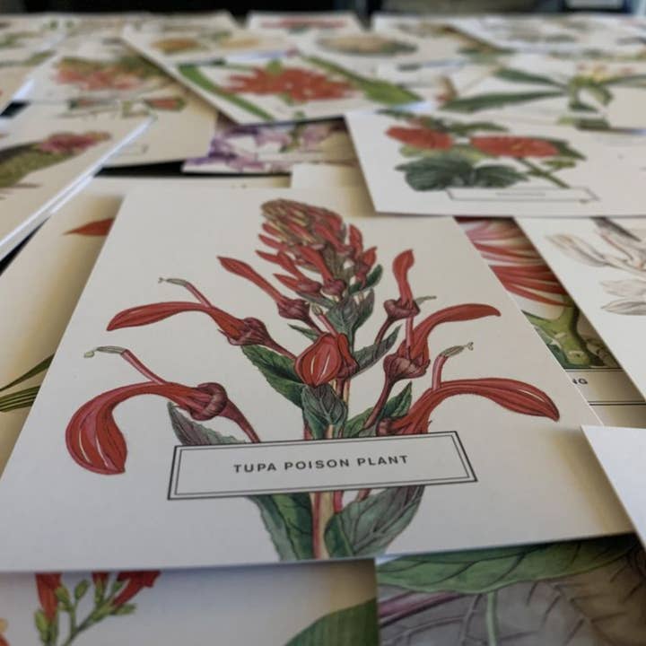 Magnifique Hearts - Wholesale Postcard Set - Vintage Style Botanical Postcards Prints | Lucky Dip Set Of
