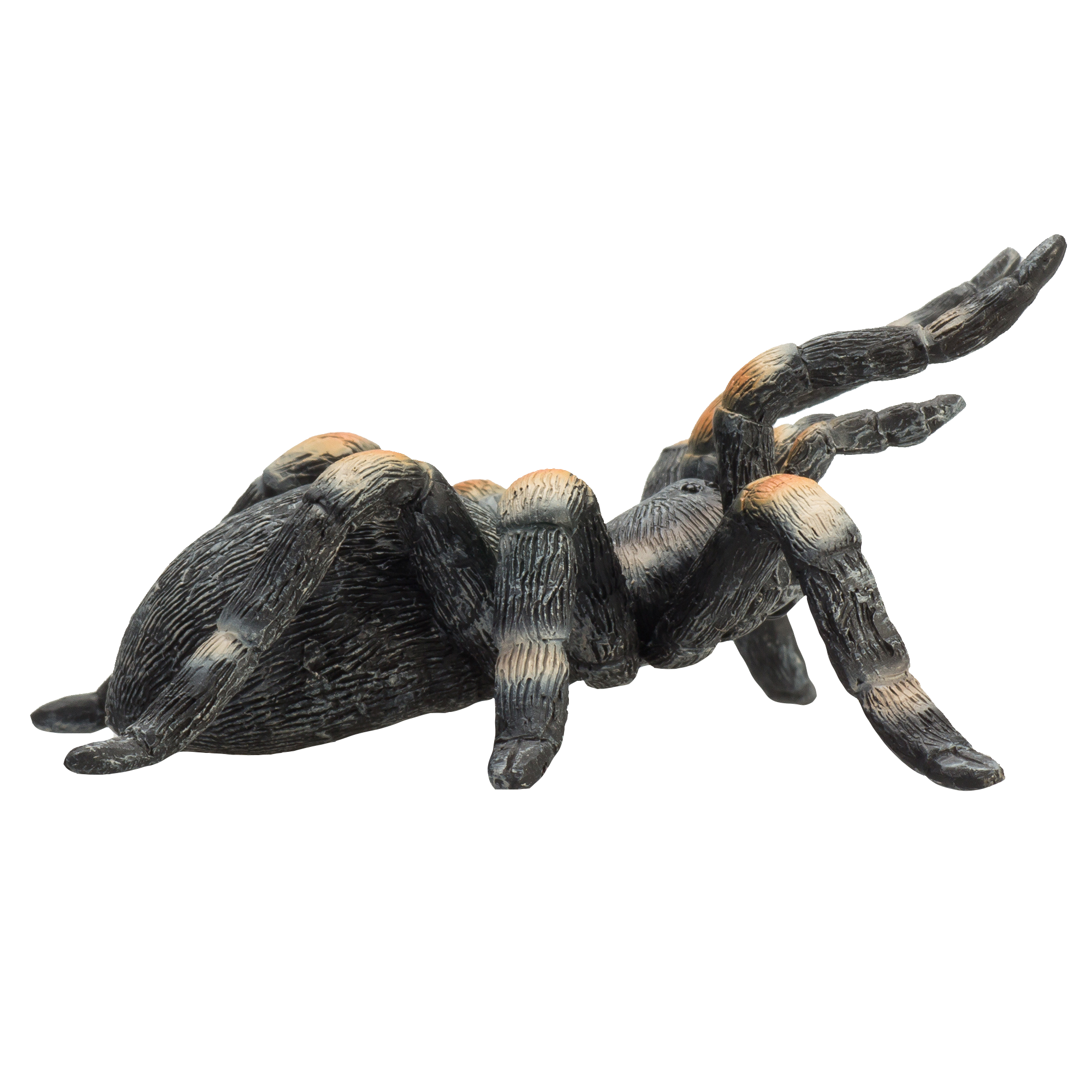 Mojo - Wholesale Figurine Toy - Kids - Mojo Red Kneed Tarantula Animal Figurine3