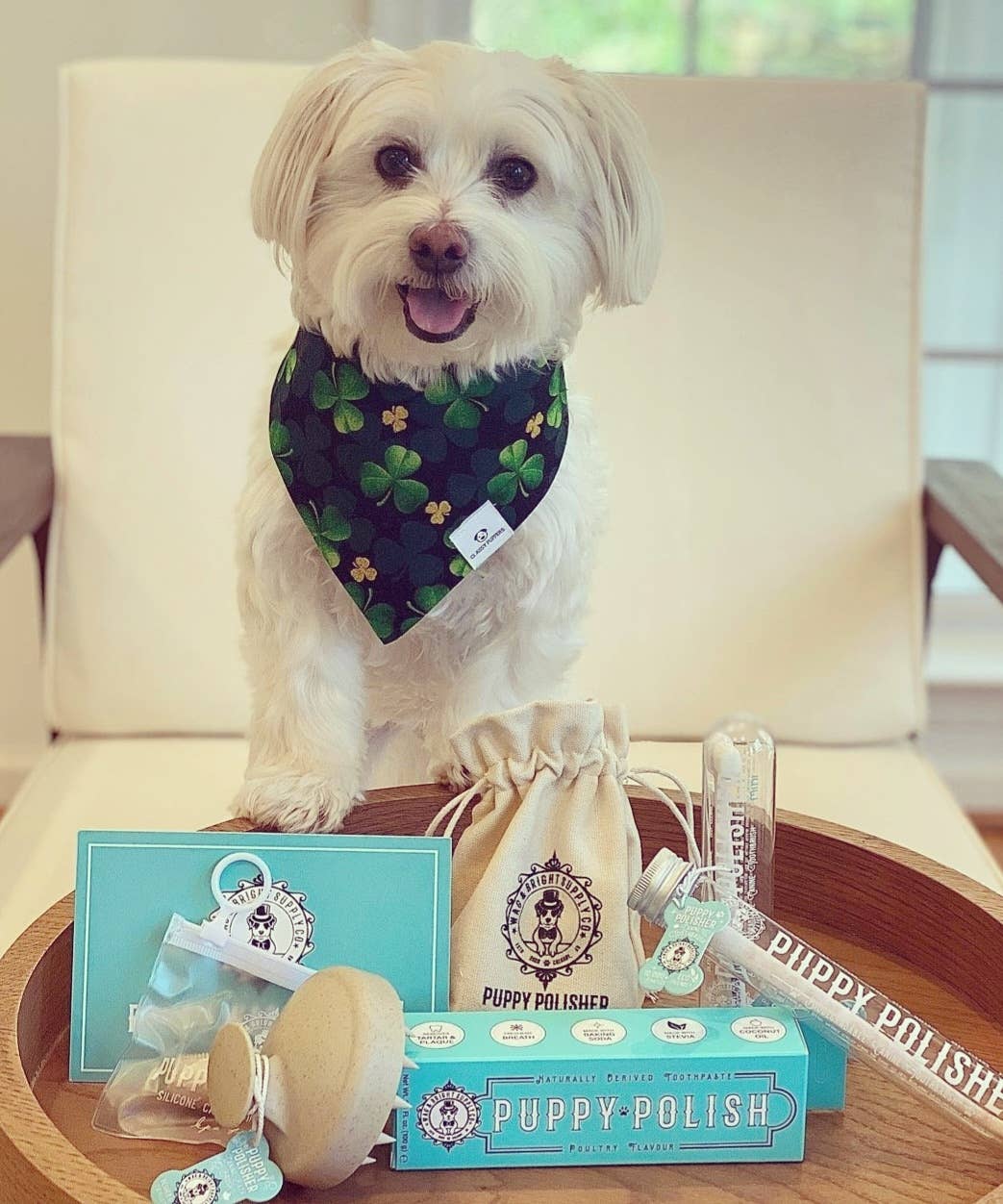 Wag & Bright Supply Co. – wholesale Pet brush – Cat/dog – Puppy Polisher Finger Brush (one size)6