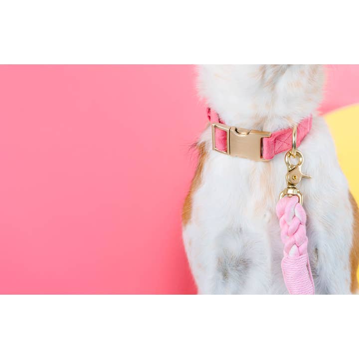 Pink Papyrus | Premium, Durable, & Stylish Dog Products - Wholesale Pet Collar - Dog - Ella Dog Collar | Pink Dog Collar | Dog Collar