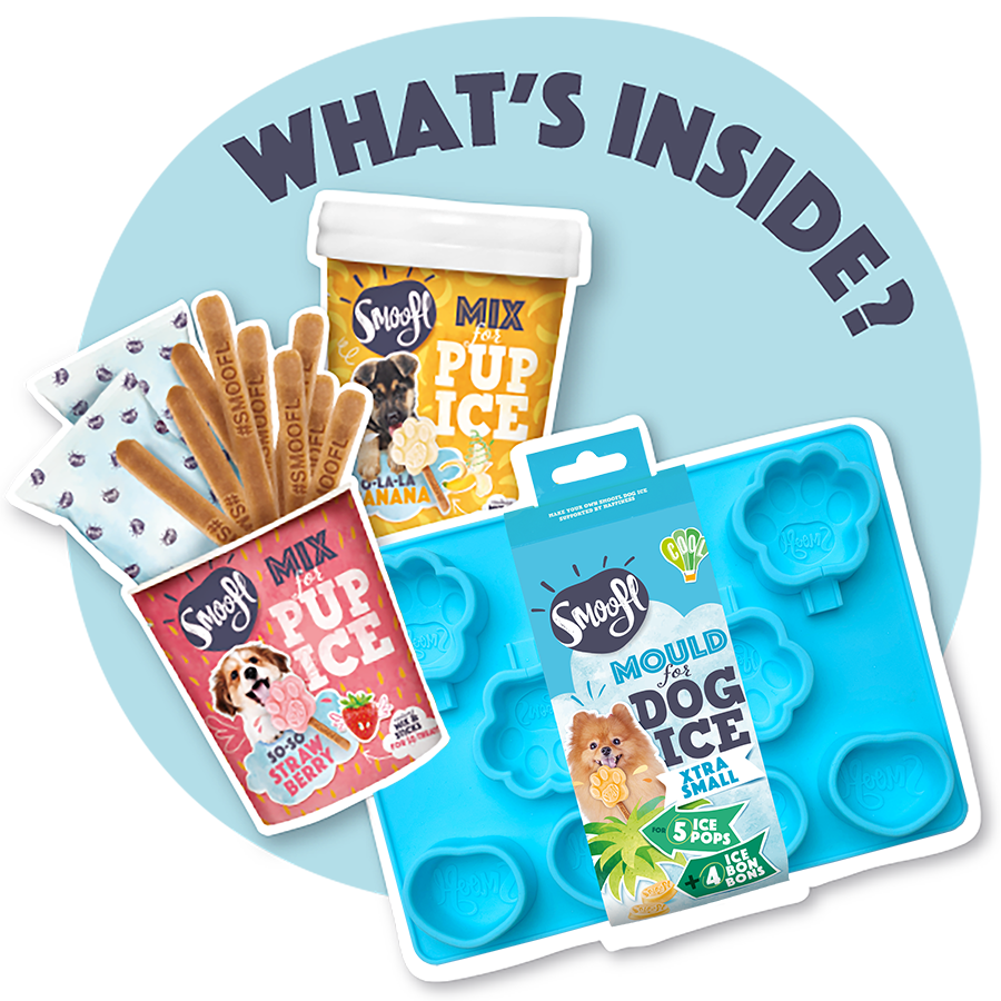 Smoofl - Vendita all'ingrosso Snack - Cani - Kit per cuccioli Smoofl per gelati per cani2