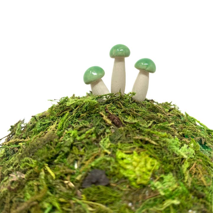 Handpicked Ceramics - Wholesale Decorative Tabletop Object - Micro Ceramic Mushrooms6