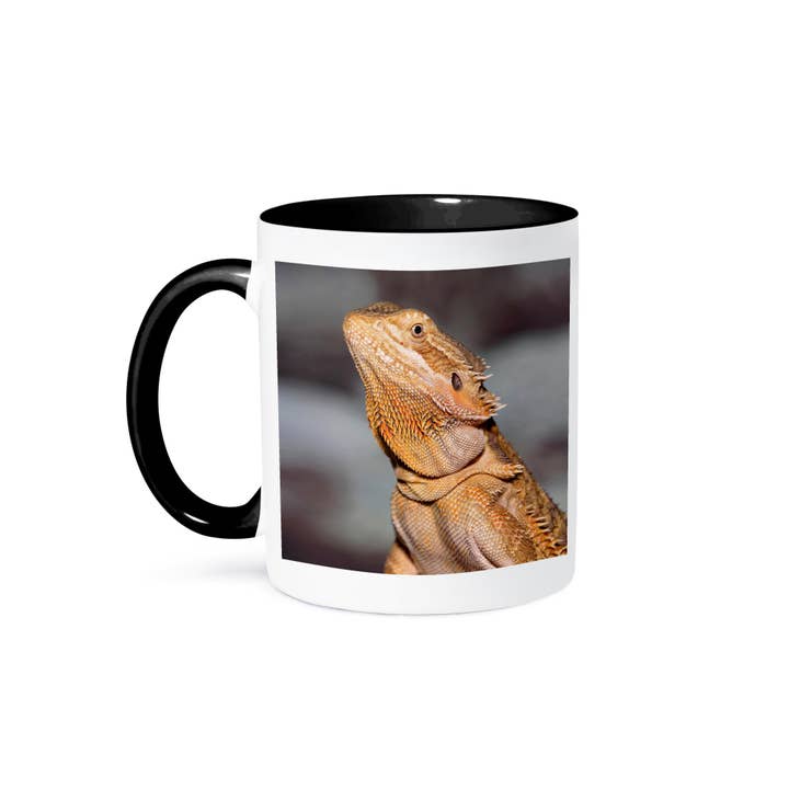 3dRose – Großhandel Kaffeebecher – 3dRose, Bartagame, Pogona vitticeps, Eidechse, Reptil - NA02 AJE0365 - Adam Jones, Tasse