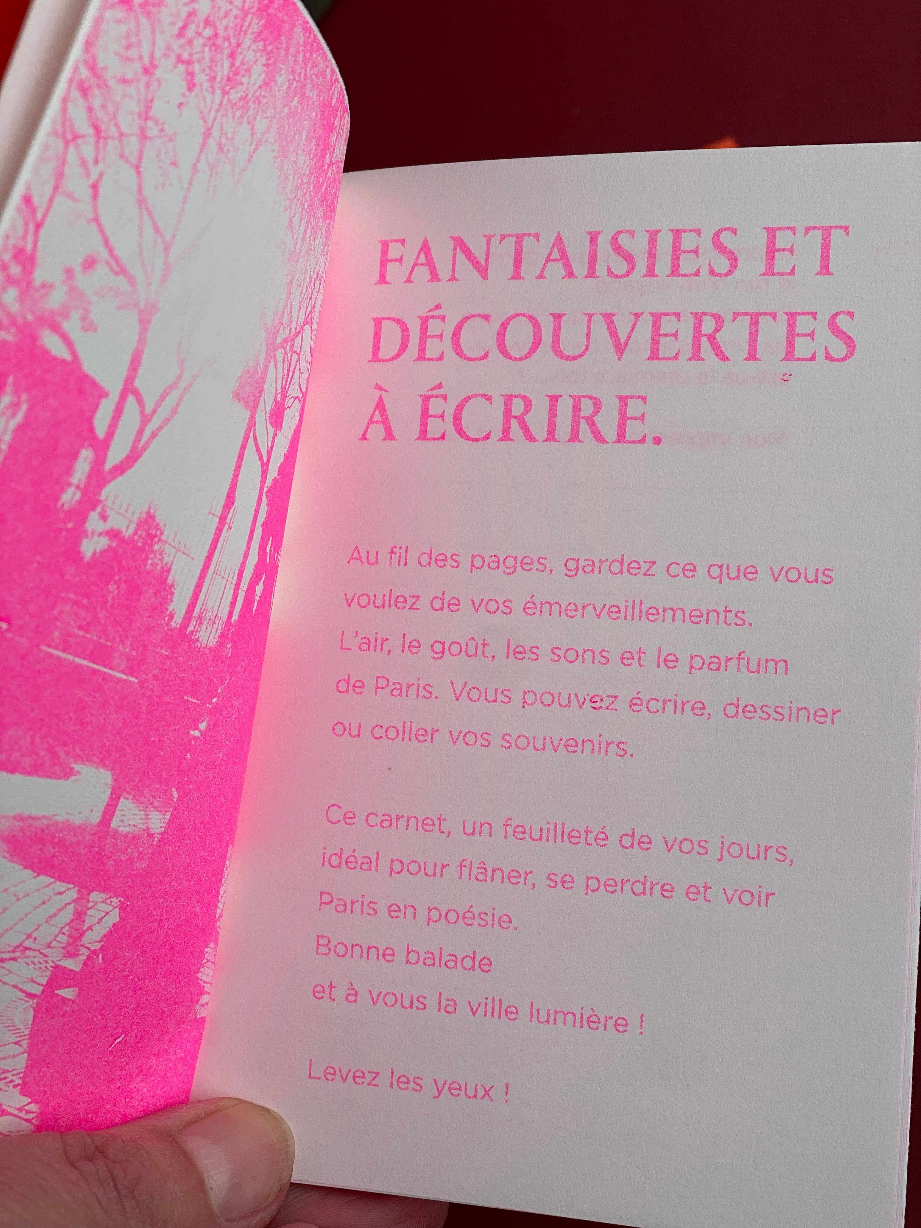 La Fille des Carnets - Wholesale Journal/Diary - 7 Days in Paris - French Version4