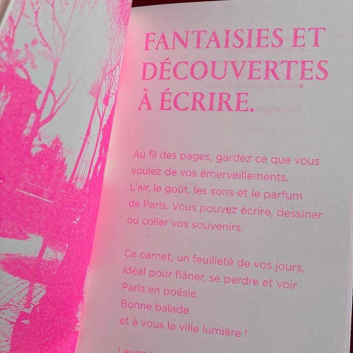 La Fille des Carnets - Wholesale Journal/Diary - 7 Days in Paris - French Version4