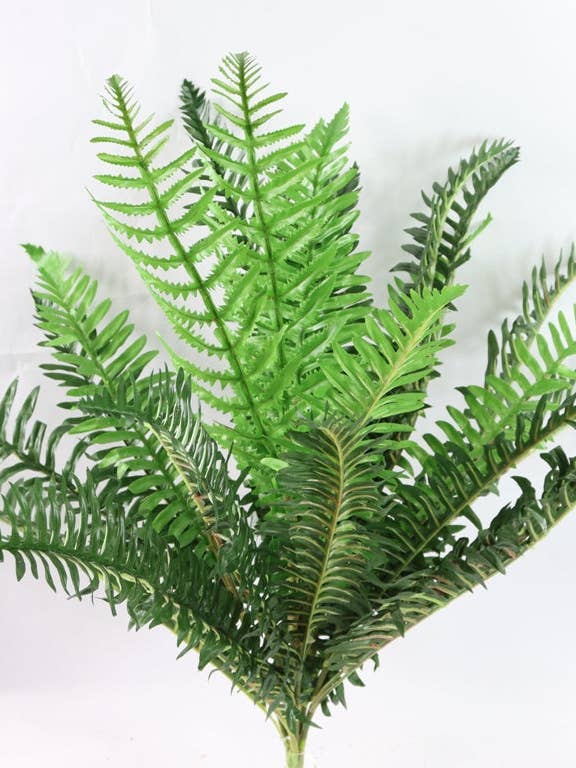 31" BOSTON FERN W/30 LEAVES - GG25608-2TN. GN for wholesale by General Wholesale Inc