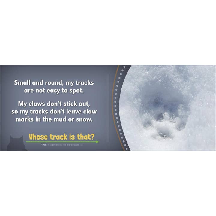 AdventureKEEN - Wholesale Nature & Outdoors - Whose Track Is That?4