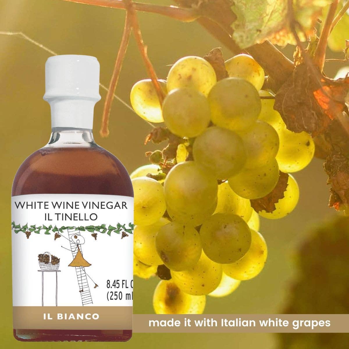 Wholesale Italian Food - Wholesale Vinegar - IL TINELLO, White Wine Vinegar Aceto di Vino Bianco, (8.45 fl oz) 250ml4