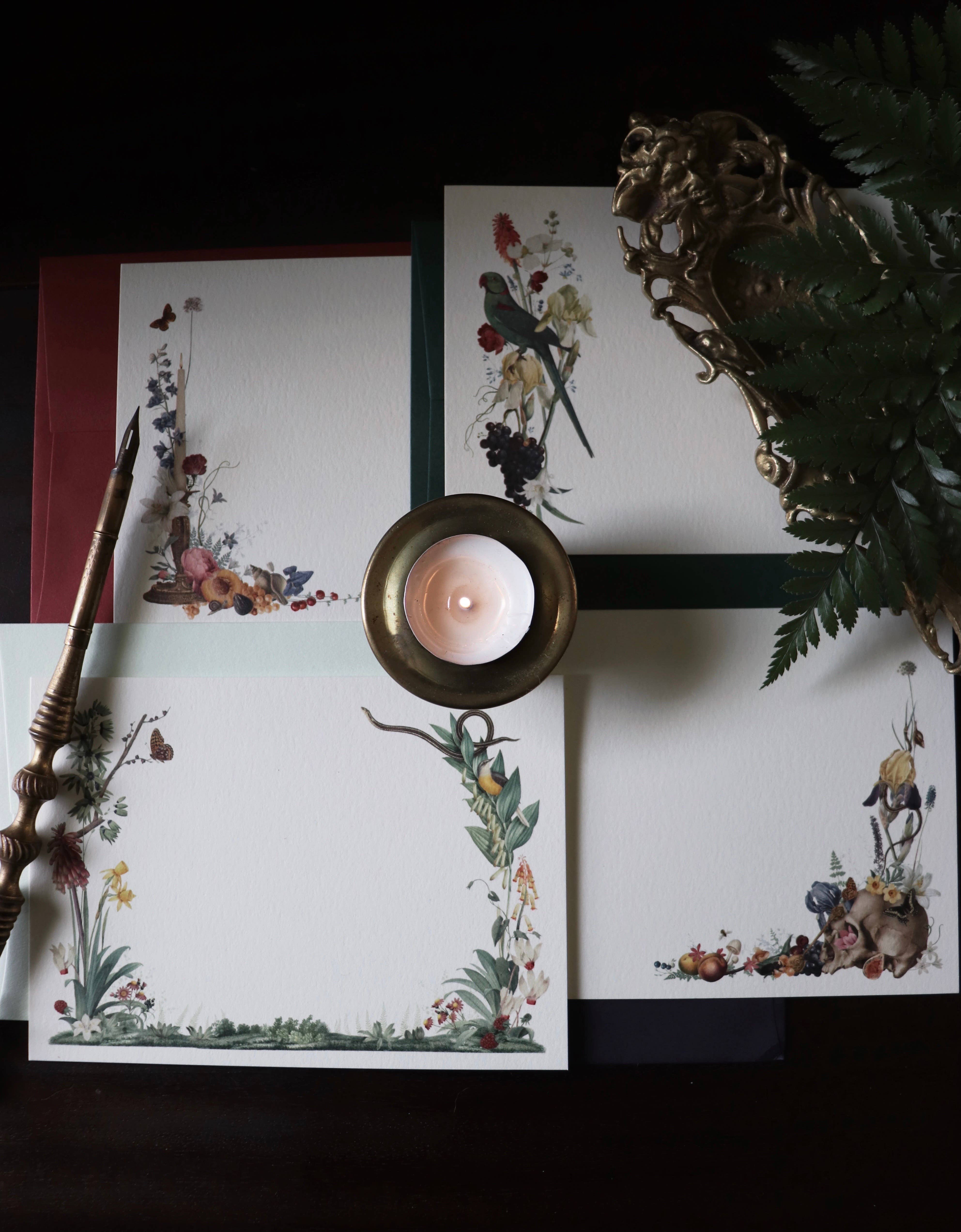 Open Sea - Wholesale Stationery/Notecard Set - Perroquet Notecard Set1