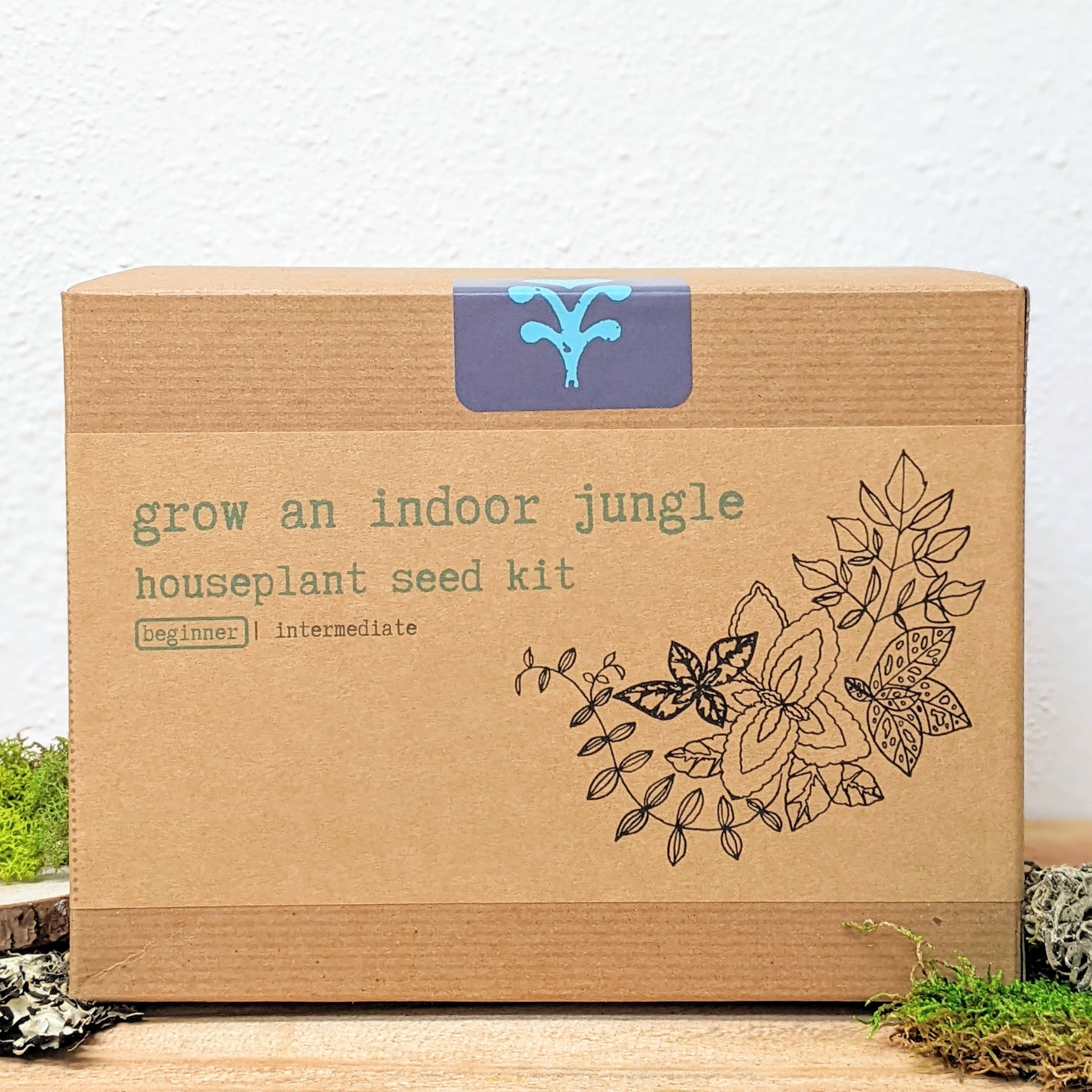 Plantflix - Vente Graines de plantes - Kit de graines pour plantes d'intérieur « Grow an Indoor Jungle »2