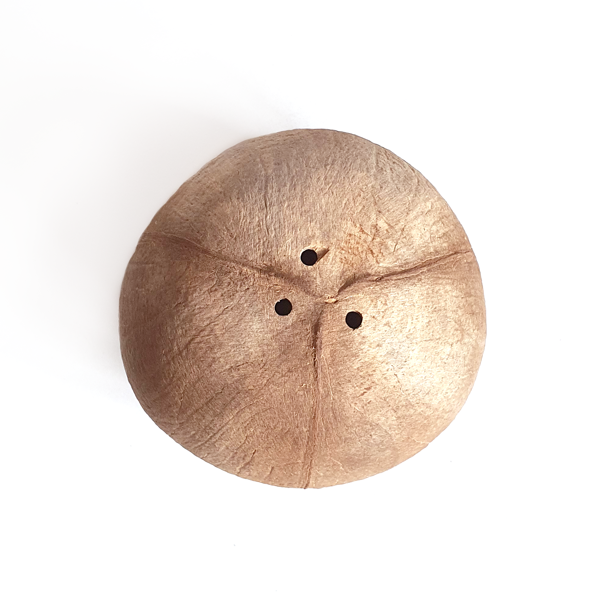 Rainforest Bowls - Wholesale Hanging Planter - Hanging Coconut Planter7