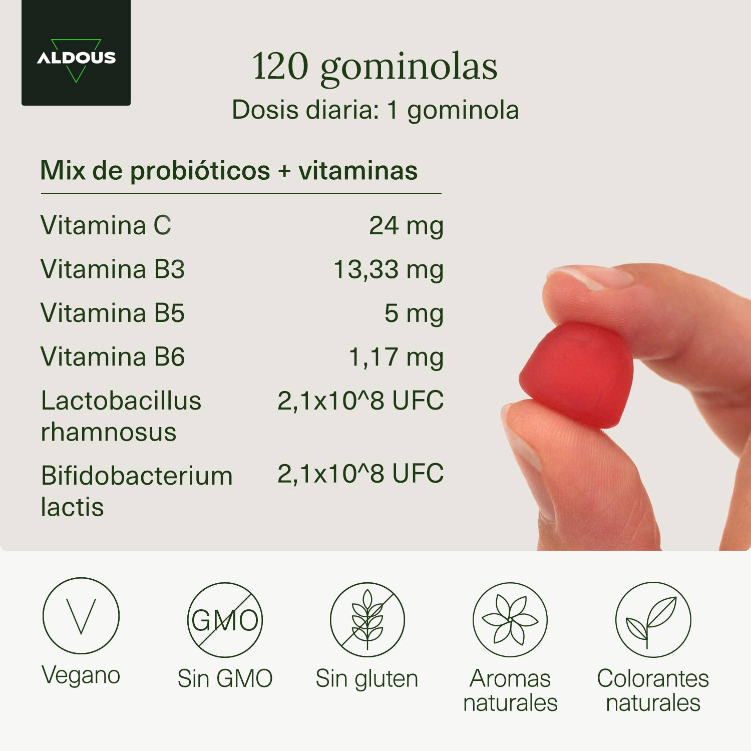 Aldous Bio - Wholesale Oral Supplement/Vitamin - Probiotics + Vitamins Aldous gummies |120 gummies2
