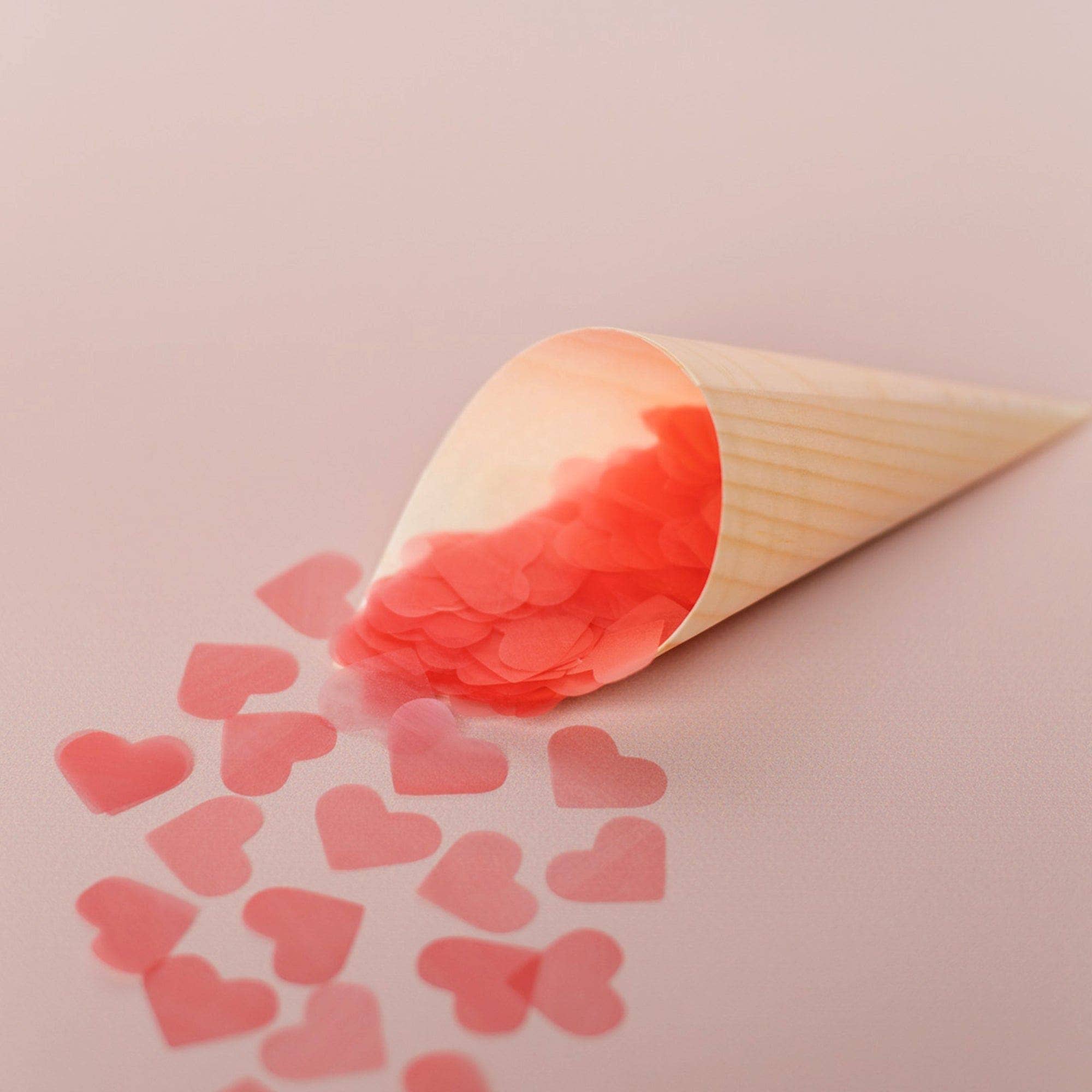 The Whole Bride - Wholesale Confetti - Biodegradable Confetti - Heart (Bag Only)11