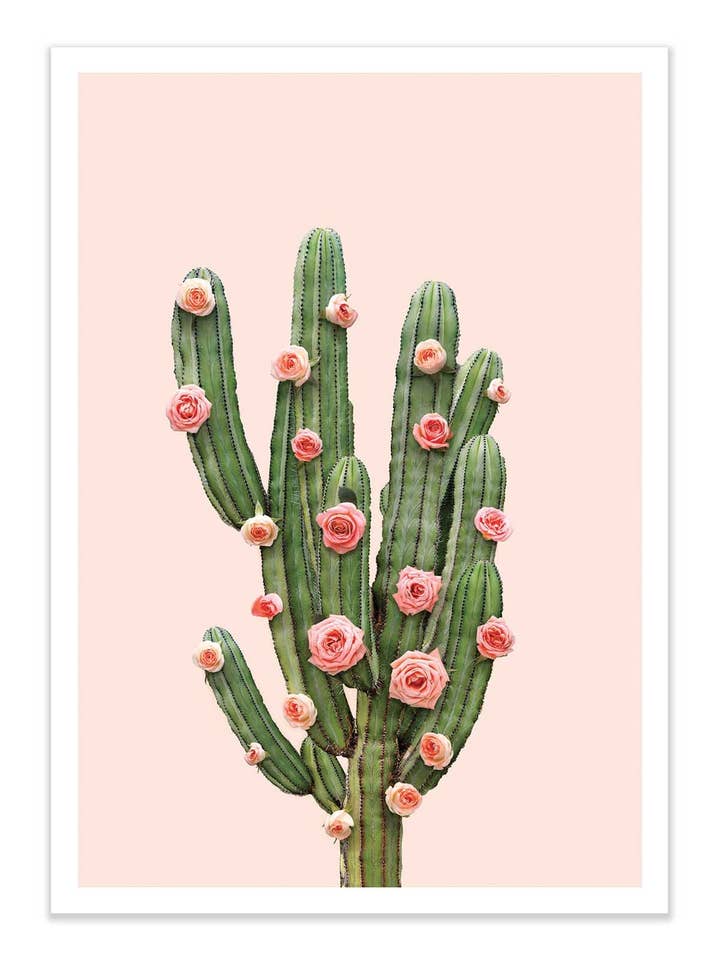 Póster de Arte - Cactus y Rosas - Paul Fuentes para venta al por mayor de Wall Editions