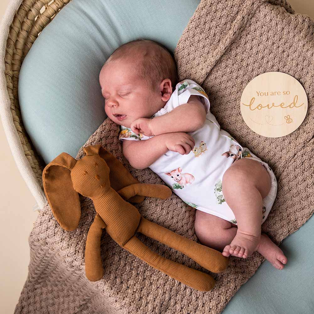 Snuggle Hunny - Wholesale Bodysuit (Non-Footed) - Baby - Farm Short Sleeve Organic Bodysuit3