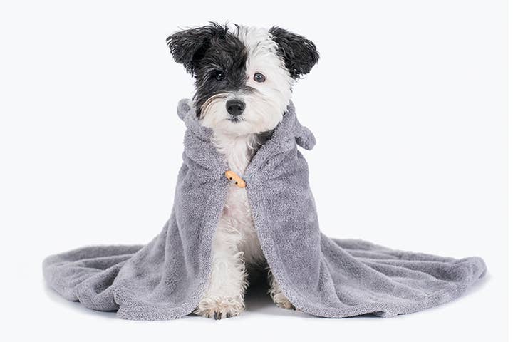 Animal hood towel . cat for wholesale by Pets So Good