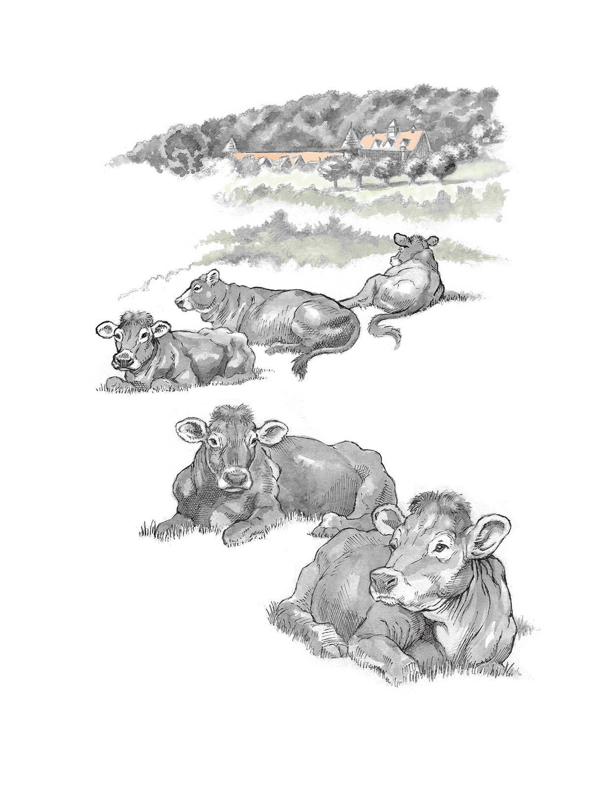 REMOVED BRAND - Wholesale Friendship Card - The Pasture - Friendship Card0