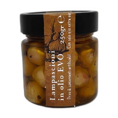 Lampascioni in extra virgin olive oil for wholesale by Il Mercante di Terra