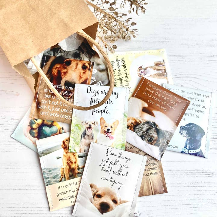 Victoria Mae Designs – Großhandel Teebeutel – Hundefreunde Tee-Geschenkset4
