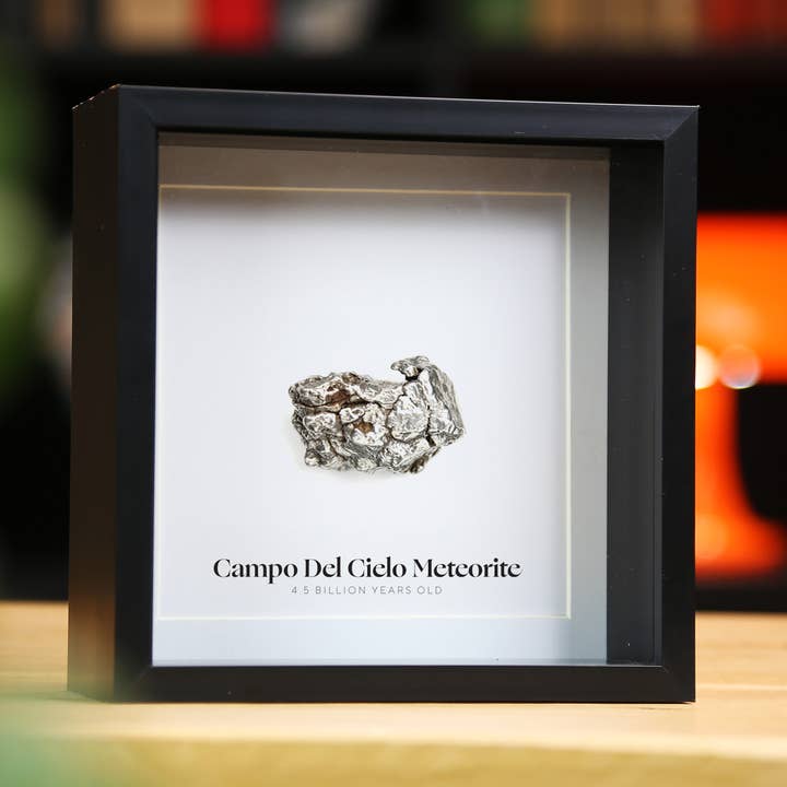 Campo Del Cielo Meteorite Real Authentic Meteor Box Frame for wholesale by Curated Studio