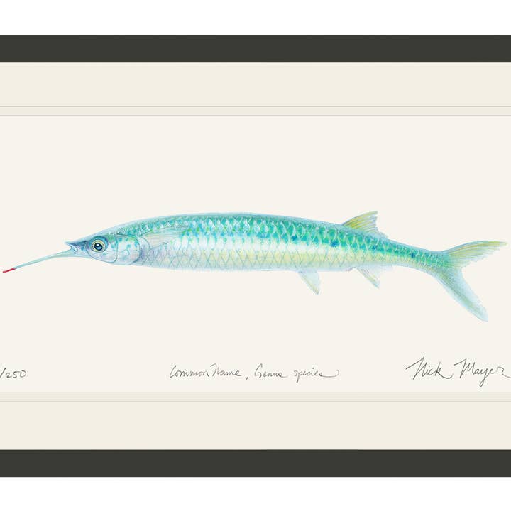 Ballyhoo Limited Edition Print for wholesale by Nick Mayer Art