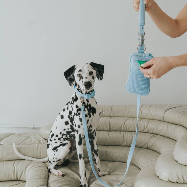 Springland Pets - Wholesale Pet leash – Dog - Dog Walk Bag with Leash - Dog Walking Solution (4 Pack)8